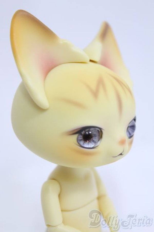 画像3: DEARMINE/Picasso Bean Canaria Skin+衣装 I-25-04-20-1007-YB-ZI (3)