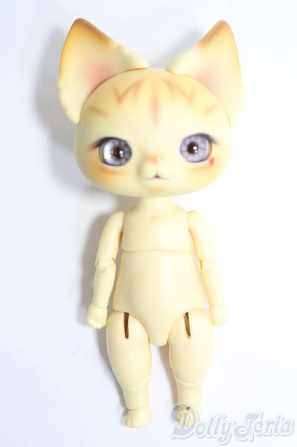 画像5: DEARMINE/Picasso Bean Canaria Skin+衣装 I-25-04-20-1007-YB-ZI (5)