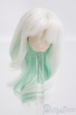 画像1: 3.5inch-4inch/ウィッグ I-25-04-20-1057-YB-ZI (1)