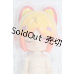 画像: ANTU(アンティーユ)/自然の秘境：家の猫 I-26-03-22-302-TO-ZI