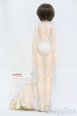 画像5: PARABOX/ヘンゼル カスタムベーシックモデル I-25-05-04-1004-TO-ZI (5)