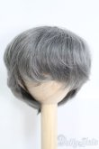 画像1: 7-8inch/ウィッグ I-25-05-11-3045-YB-ZI (1)