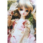 画像: SDM＆MSD/OF:衣装セット I-25-05-11-3081-TO-ZI