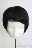 画像1: 8-9inch/ウィッグ I-25-05-25-3041-TO-ZI (1)