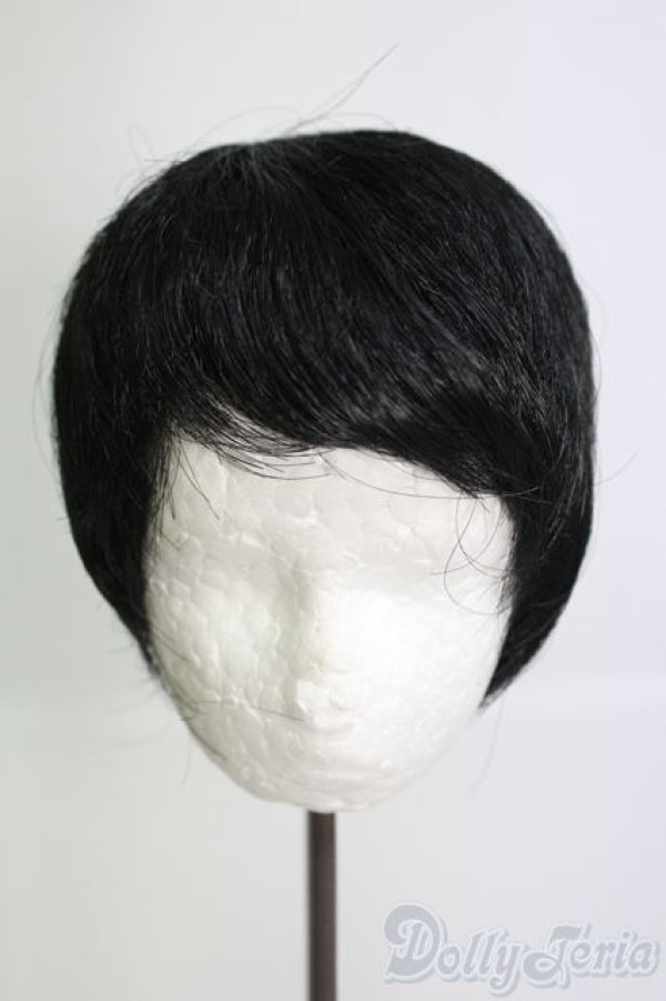 画像1: 8-9inch/ウィッグ I-25-05-25-3041-TO-ZI (1)