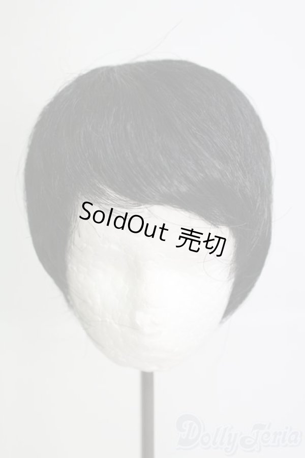 画像1: 8-9inch/ウィッグ I-25-05-25-3041-TO-ZI (1)