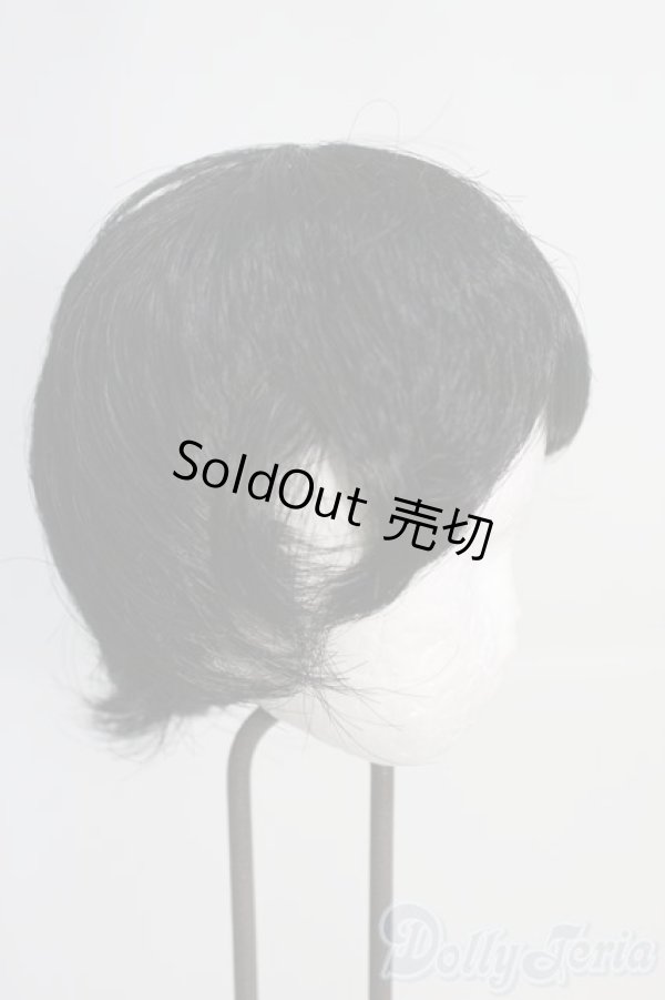 画像2: 8-9inch/ウィッグ I-25-05-25-3041-TO-ZI (2)