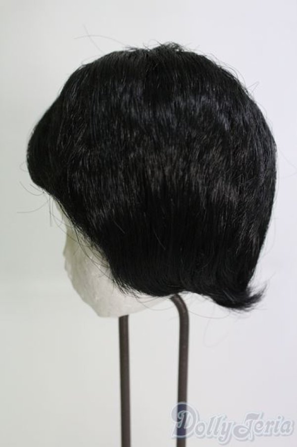 画像3: 8-9inch/ウィッグ I-25-05-25-3041-TO-ZI (3)