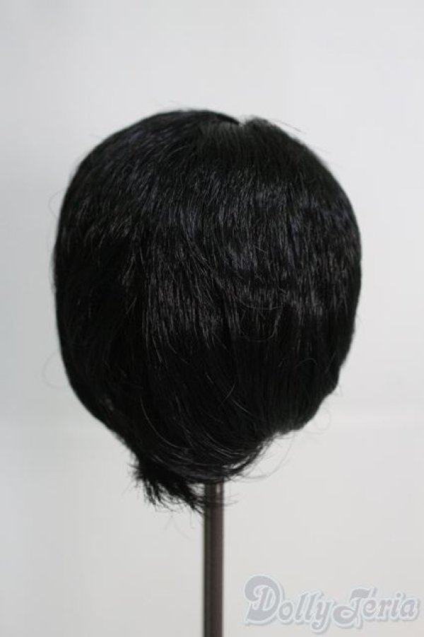 画像4: 8-9inch/ウィッグ I-25-05-25-3041-TO-ZI (4)