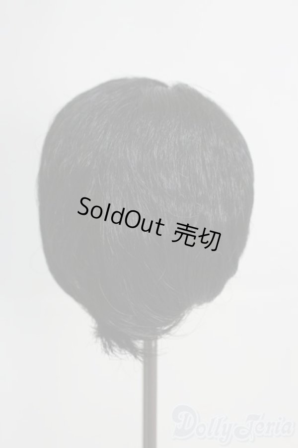 画像4: 8-9inch/ウィッグ I-25-05-25-3041-TO-ZI (4)