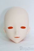 画像1: IMOMODOLL/Canis-B Head I-25-05-18-1045-TO-ZI (1)