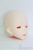 画像2: IMOMODOLL/Canis-B Head I-25-05-18-1045-TO-ZI (2)