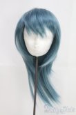 画像1: 9-10inch/ウィッグ I-25-06-15-2025-TO-ZI (1)