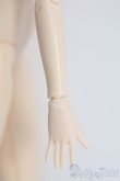 画像3: オビツ27ｃｍボディ I-25-05-18-1037-TO-ZI (3)