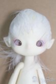 画像1: Island Doll/Xun フルセット I-25-05-25-1008-TO-ZI (1)