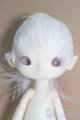 画像: Island Doll/Xun フルセット I-25-05-25-1008-TO-ZI