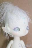 画像2: Island Doll/Shuo：Shadow Island I-25-05-25-1009-TO-ZI (2)