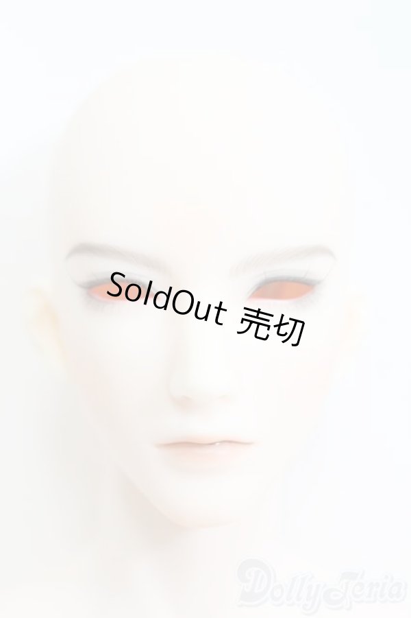 画像2: DOLK×RING DOLL/魔道祖師×RING DOLL 藍忘機 Lan Wangji Fullset フルセット I-25-06-08-1001-TN-ZI (2)