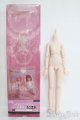 画像: MDD/ベースボディ DD-f3(ボークス) I-25-06-01-1003-YB-ZI