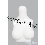 画像: MDD/上半身パーツ MDD3-B-03L-SW I-25-06-01-1054-YB-ZI