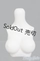 画像: MDD/上半身パーツ MDD3-B-03L-SW I-25-06-01-1054-YB-ZI