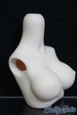 画像2: MDD/上半身パーツ MDD3-B-03L-SW I-25-06-01-1054-YB-ZI (2)