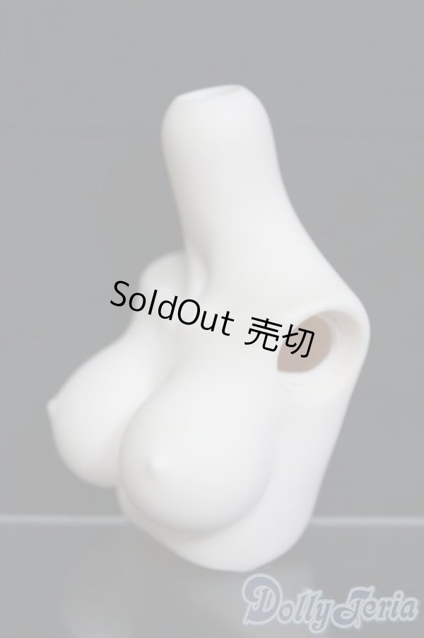 画像3: MDD/上半身パーツ MDD3-B-03L-SW I-25-06-01-1054-YB-ZI (3)