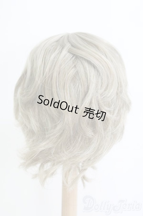 画像2: 9-10inch/ウィッグ I-25-06-29-3040-TO-ZI (2)