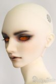 画像4: SD17男の子/Ludo〜the Grey Tail〜灰白狼のルド I-25-06-01-1001-YB-ZI (4)