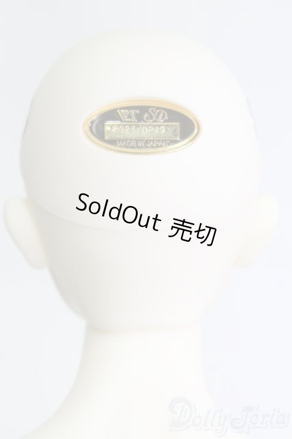 画像5: SD17男の子/Ludo〜the Grey Tail〜灰白狼のルド I-25-06-01-1001-YB-ZI (5)