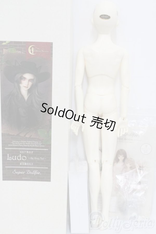 画像7: SD17男の子/Ludo〜the Grey Tail〜灰白狼のルド I-25-06-01-1001-YB-ZI (7)