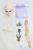 画像6: Ringdoll/Ashford 2.0 ヘッド I-25-06-01-1041-YB-ZI (6)