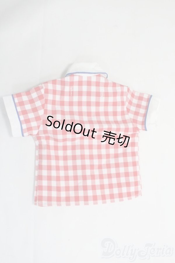 画像2: SDM＆MSD/OF:トップス I-25-06-29-2098-TO-ZI (2)