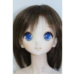画像: DD/DDH-06　ヘッド I-25-06-22-1005-TO-ZI