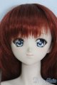 画像: DD/放課後秋葉原ガールズ ナツキ 1st I-25-06-15-1003-TO-ZI