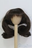 画像1: ウィッグ/7-8inch/ I-25-07-13-2011-TO-ZI (1)