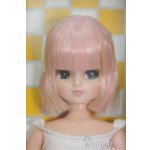 画像: リカちゃんキャッスル/リカちゃん 20人のお人形作家モデル-20 I-25-06-15-1019-TO-ZI