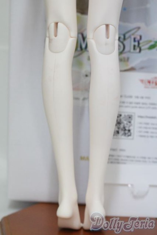 画像8: LUTS/Senior Delf Muse EVELINE I-25-06-15-1005-TO-ZI (8)