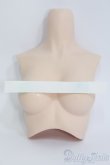 画像1: DD/外皮パーツ胸 I-25-06-22-1053-YB-ZI (1)