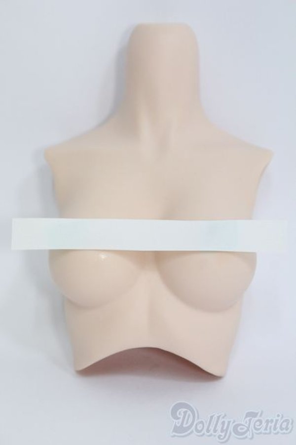 画像1: DD/外皮パーツ胸 I-25-06-22-1053-YB-ZI (1)