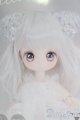 画像: 1/12/Lily様×MIMIEL様コラボワンオフドール I-25-06-29-1016-KD-ZI