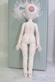 画像6: Charm Doll/Hazel Fullset I-25-06-29-1004-TO-ZI (6)