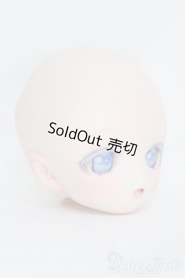 画像2: DD/DDH-01カスタムヘッド I-25-06-29-1040-TO-ZI (2)