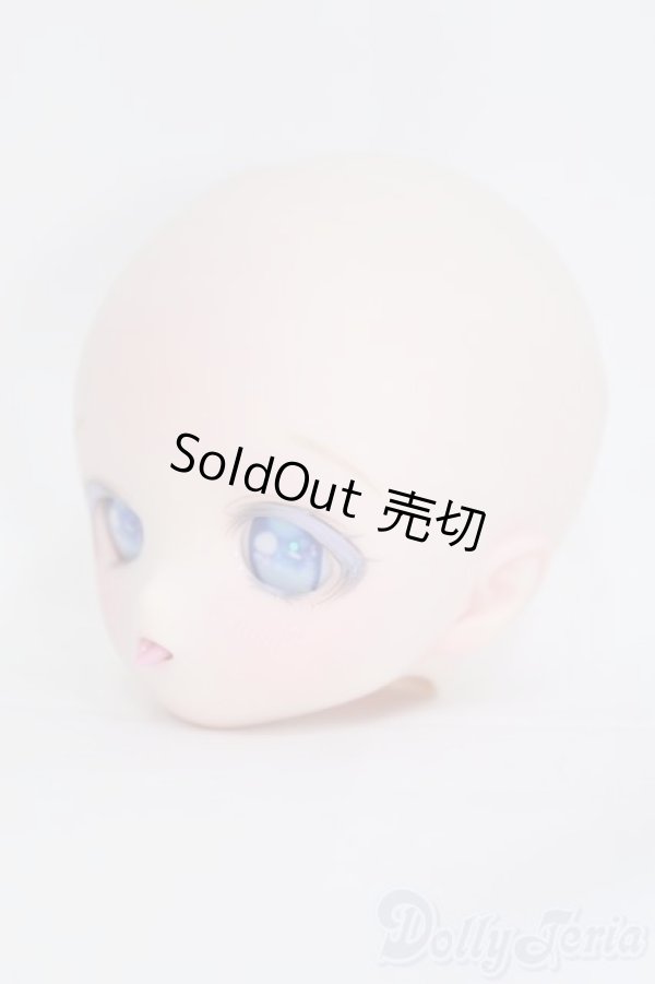 画像3: DD/DDH-01カスタムヘッド I-25-06-29-1040-TO-ZI (3)