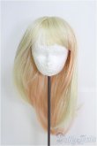 画像1: 8-8.5inch/ウィッグ　BJD　MJD　ドール用 I-25-08-03-170-KD-ZI (1)