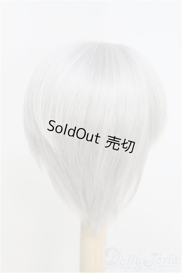 画像2: ウィッグ/7inch/インチ　BJD　MJD　ドール用 I-25-07-27-131-TO-ZI (2)