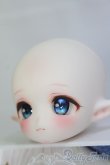 画像5: Tiny Fox 1/6/カスタムヘッド(06S)m.t*様 一式セット/BJD　球体関節人形 I-25-07-06-1052-YB-ZI (5)