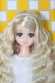 画像: ジェニー/マリーン/BJD　球体関節人形 I-25-07-06-1071-SK-ZI