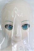 画像2: DD/初音ミク/BJD　球体関節人形 I-25-07-06-1006-YB-ZI (2)