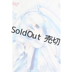 画像: DD/雪ミク I-25-07-06-1007-YB-ZI